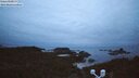 ./images/calvert/lookout/20250808/lookout20250808_052509M.jpg