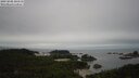 ./images/calvert/lookout/20250808/lookout20250808_100511M.jpg