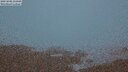 ./images/calvert/lookout/20250808/lookout20250808_215009M.jpg