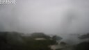 ./images/calvert/lookout/20250810/lookout20250810_084511M.jpg