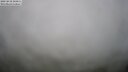 ./images/calvert/lookout/20250810/lookout20250810_104511M.jpg