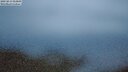 ./images/calvert/lookout/20250814/lookout20250814_054009M.jpg