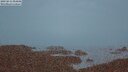 ./images/calvert/lookout/20250815/lookout20250815_054508M.jpg