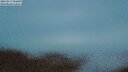 ./images/calvert/lookout/20250817/lookout20250817_212509M.jpg