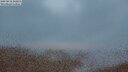 ./images/calvert/lookout/20250818/lookout20250818_212010M.jpg
