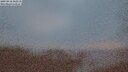 ./images/calvert/lookout/20250818/lookout20250818_212511M.jpg