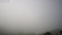 ./images/calvert/lookout/20250828/lookout20250828_135011M.jpg