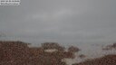 ./images/calvert/lookout/20250830/lookout20250830_210008M.jpg