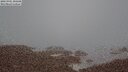 ./images/calvert/lookout/20250901/lookout20250901_205508M.jpg