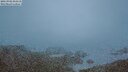 ./images/calvert/lookout/20250902/lookout20250902_061510M.jpg