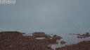 ./images/calvert/lookout/20250907/lookout20250907_204009M.jpg