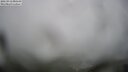 ./images/calvert/lookout/20250912/lookout20250912_085510M.jpg