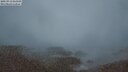 ./images/calvert/lookout/20250913/lookout20250913_063510M.jpg
