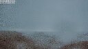 ./images/calvert/lookout/20250913/lookout20250913_202009M.jpg