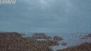 ./images/calvert/lookout/20250925/lookout20250925_195501M.jpg