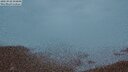 ./images/calvert/lookout/20250930/lookout20250930_194001M.jpg