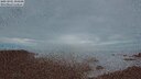 ./images/calvert/lookout/20251001/lookout20251001_194501M.jpg