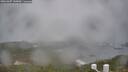 ./images/calvert/lookout/20260307/lookout20260307_145001M.jpg