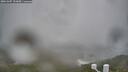 ./images/calvert/lookout/20260307/lookout20260307_152001M.jpg