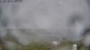 ./images/calvert/lookout/20260307/lookout20260307_161001M.jpg