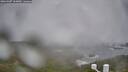 ./images/calvert/lookout/20260307/lookout20260307_162001M.jpg
