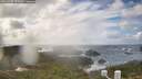 ./images/calvert/lookout/20260308/lookout20260308_135002M.jpg