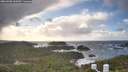 ./images/calvert/lookout/20260308/lookout20260308_160501M.jpg