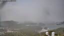 ./images/calvert/lookout/20260309/lookout20260309_092001M.jpg