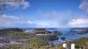 ./images/calvert/lookout/20260309/lookout20260309_103001M.jpg