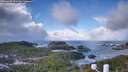 ./images/calvert/lookout/20260309/lookout20260309_110501M.jpg