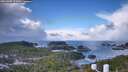 ./images/calvert/lookout/20260309/lookout20260309_111001M.jpg