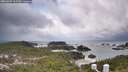 ./images/calvert/lookout/20260309/lookout20260309_115501M.jpg