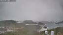 ./images/calvert/lookout/20260309/lookout20260309_134501M.jpg
