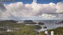./images/calvert/lookout/20260310/lookout20260310_105502M.jpg
