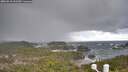 ./images/calvert/lookout/20260310/lookout20260310_112501M.jpg
