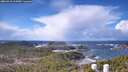 ./images/calvert/lookout/20260310/lookout20260310_115001M.jpg