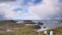 ./images/calvert/lookout/20260310/lookout20260310_123501M.jpg