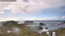 ./images/calvert/lookout/20260310/lookout20260310_151001M.jpg