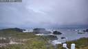 ./images/calvert/lookout/20260311/lookout20260311_081001M.jpg