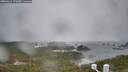 ./images/calvert/lookout/20260311/lookout20260311_172501M.jpg