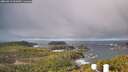 ./images/calvert/lookout/20260313/lookout20260313_101001M.jpg