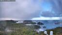 ./images/calvert/lookout/20260313/lookout20260313_115001M.jpg