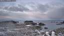 ./images/calvert/lookout/20260314/lookout20260314_074501M.jpg