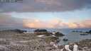 ./images/calvert/lookout/20260314/lookout20260314_081001M.jpg