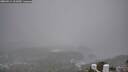 ./images/calvert/lookout/20260314/lookout20260314_101001M.jpg