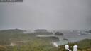 ./images/calvert/lookout/20260316/lookout20260316_123001M.jpg