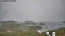 ./images/calvert/lookout/20260316/lookout20260316_123502M.jpg