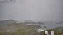 ./images/calvert/lookout/20260316/lookout20260316_142002M.jpg