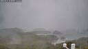 ./images/calvert/lookout/20260316/lookout20260316_164502M.jpg