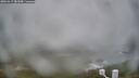 ./images/calvert/lookout/20260317/lookout20260317_083501M.jpg